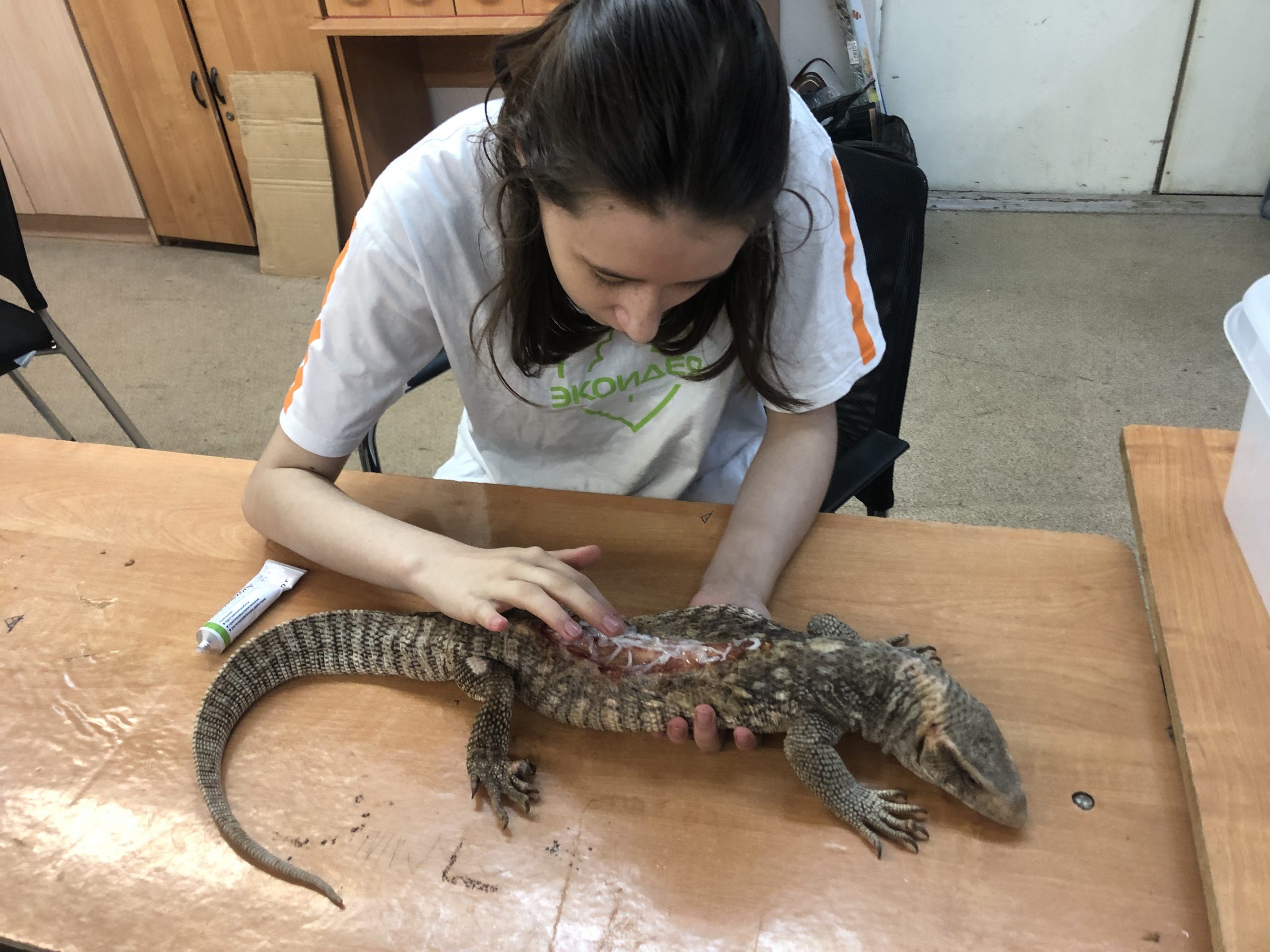 Будущий ветеринар Дарья Казакова лечит варана Дарвина