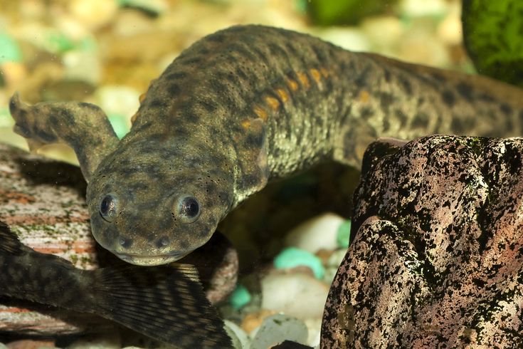 4af4411e56c2db2656871b1cf17e1fe9