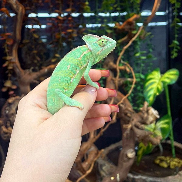 IMG_20251101_211220_178