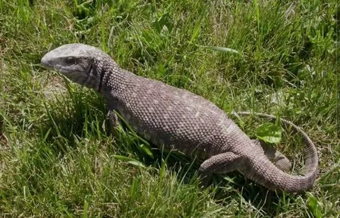 IMG_20251101_211221_262