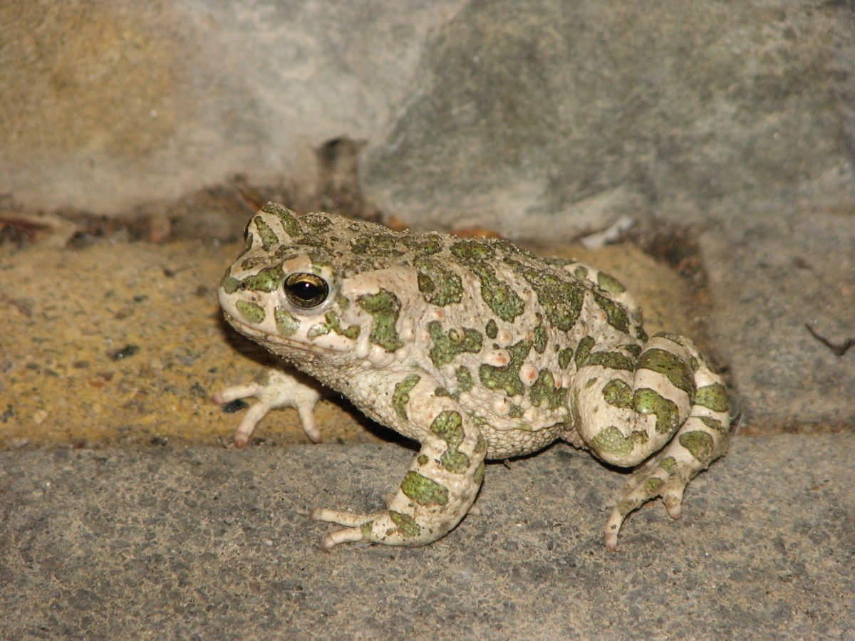 IMG_20251101_211224_894