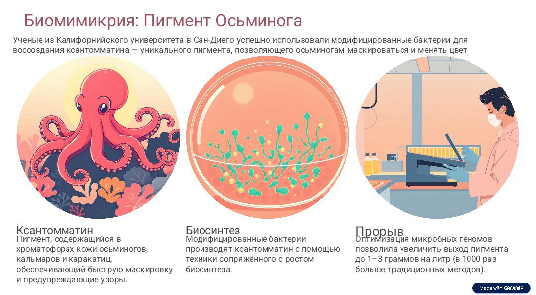 IMG_20251112_180317_435